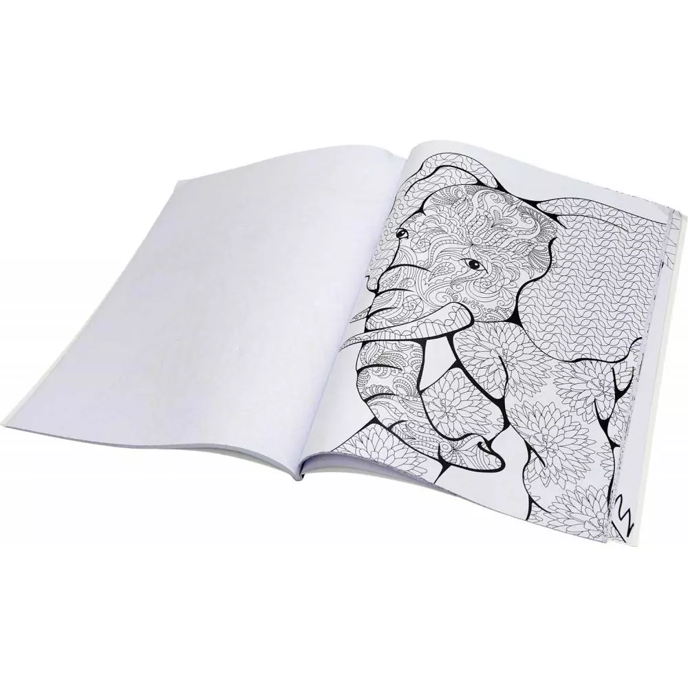 BOJANKA ZA ODRASLE COLORING 40 STRANA