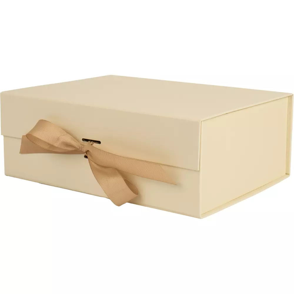 UKR.KUTIJA BEŽ 22*16*8,5 cm