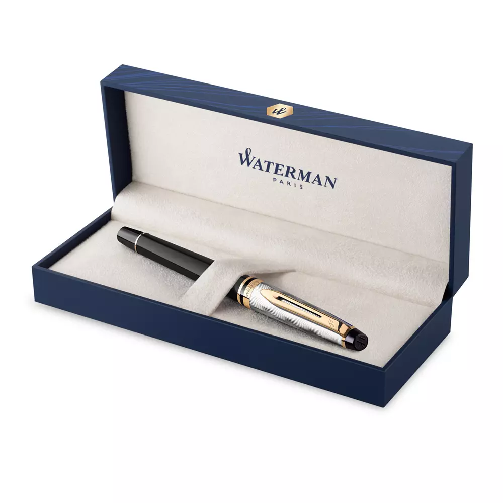 WATERMAN naliv pero EXPERT