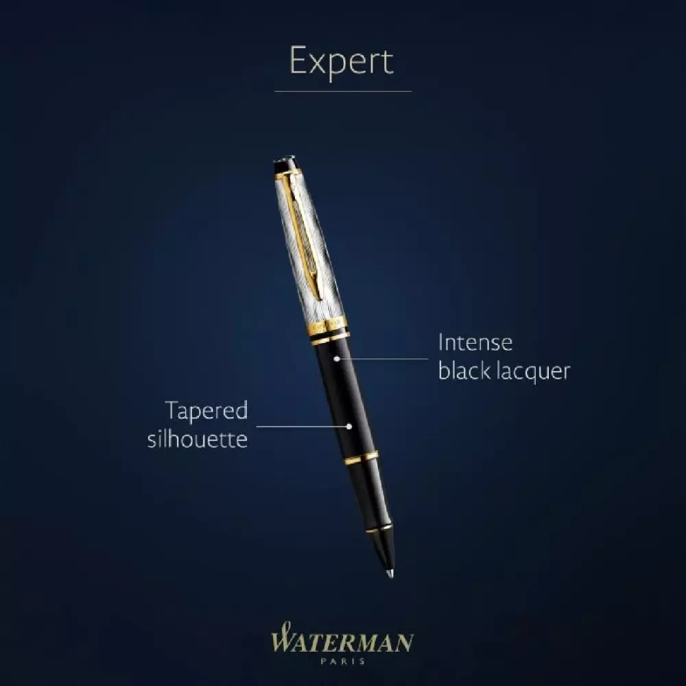 WATERMAN hemijska EXPERT blk GT